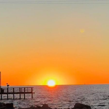 Pet Friendly Tranquil Cottage With Fire-Pit And Seasonal Hot Tub Sept-March Minutes To Beaches 多芬岛 外观 照片